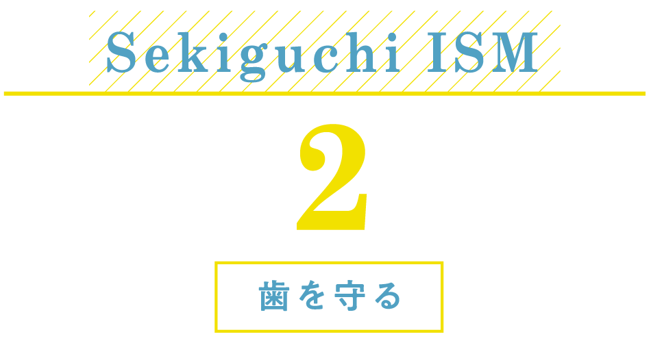 Sekiguchi ISM：歯を守る