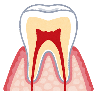 関口歯科 川越、歯医者、歯科医、歯周病、根管治療、入れ歯（義歯）、審美歯科・セラミック治療、自由診療