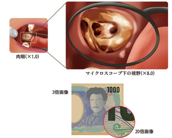 関口歯科 川越、歯医者、歯科医、歯周病、根管治療、入れ歯（義歯）、審美歯科・セラミック治療、自由診療