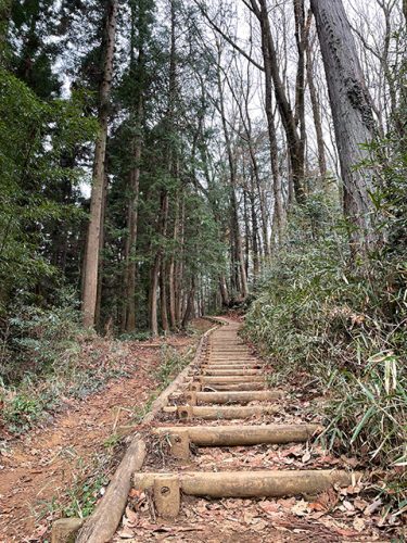 関口歯科 川越、歯医者、歯科医、歯周病、根管治療、入れ歯（義歯）、審美歯科・セラミック治療、自由診療