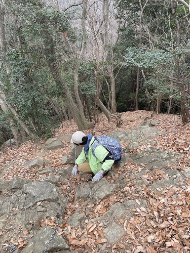 関口歯科 川越、歯医者、歯科医、歯周病、根管治療、入れ歯（義歯）、審美歯科・セラミック治療、自由診療