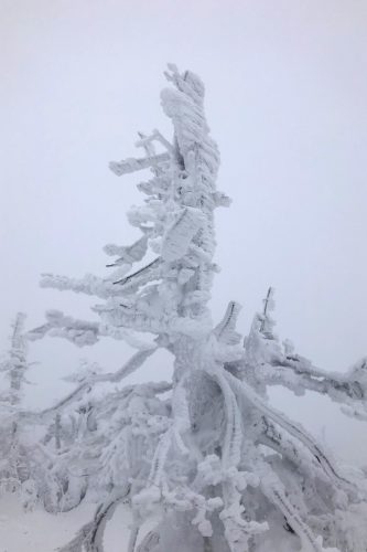 関口歯科 川越、歯医者、歯科医、歯周病、根管治療、入れ歯（義歯）、審美歯科・セラミック治療、自由診療
