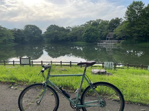 関口歯科 川越、歯医者、歯科医、歯周病、根管治療、入れ歯（義歯）、審美歯科・セラミック治療、自由診療