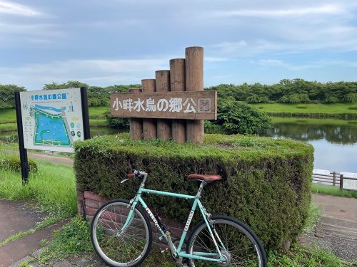 関口歯科 川越、歯医者、歯科医、歯周病、根管治療、入れ歯（義歯）、審美歯科・セラミック治療、自由診療