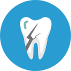 歯根破折のイラスト