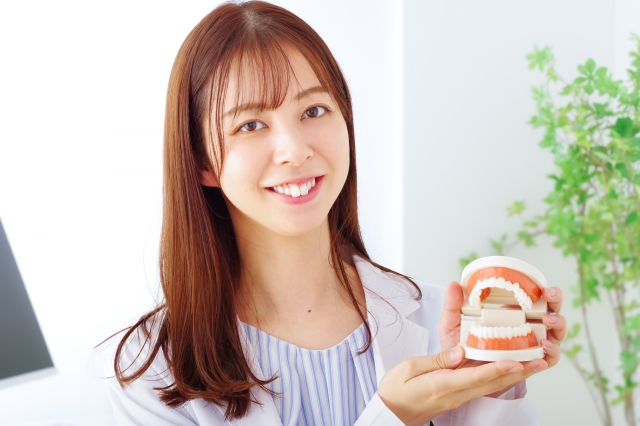 顎模型を持つ女性